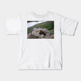 Marmot on Rock 2 Kids T-Shirt